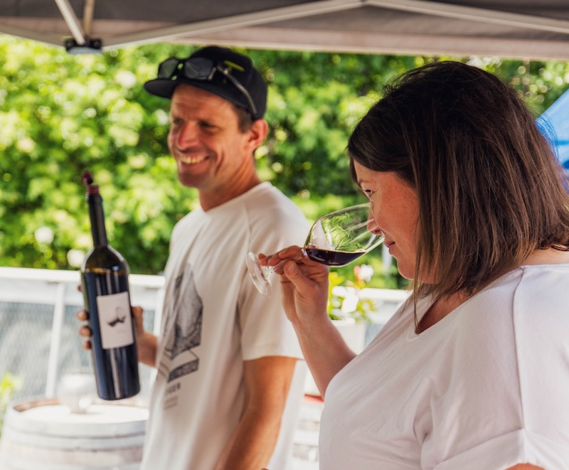 Expérience e-Bike et dégustation de vin, dans le Valais Suisse